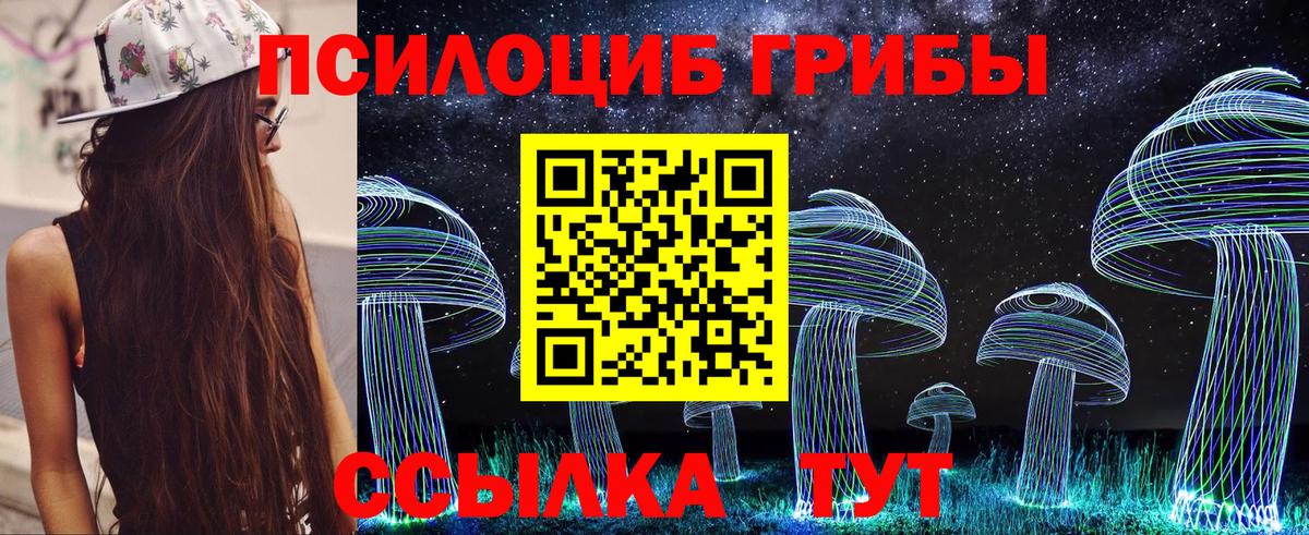 Псилоцибиновые грибы Psilocybine cubensis Гай